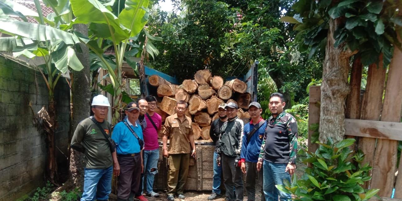 anggota-gabungan-temukan-tumpukan-kayu-jati-glondongan-di-siliragung