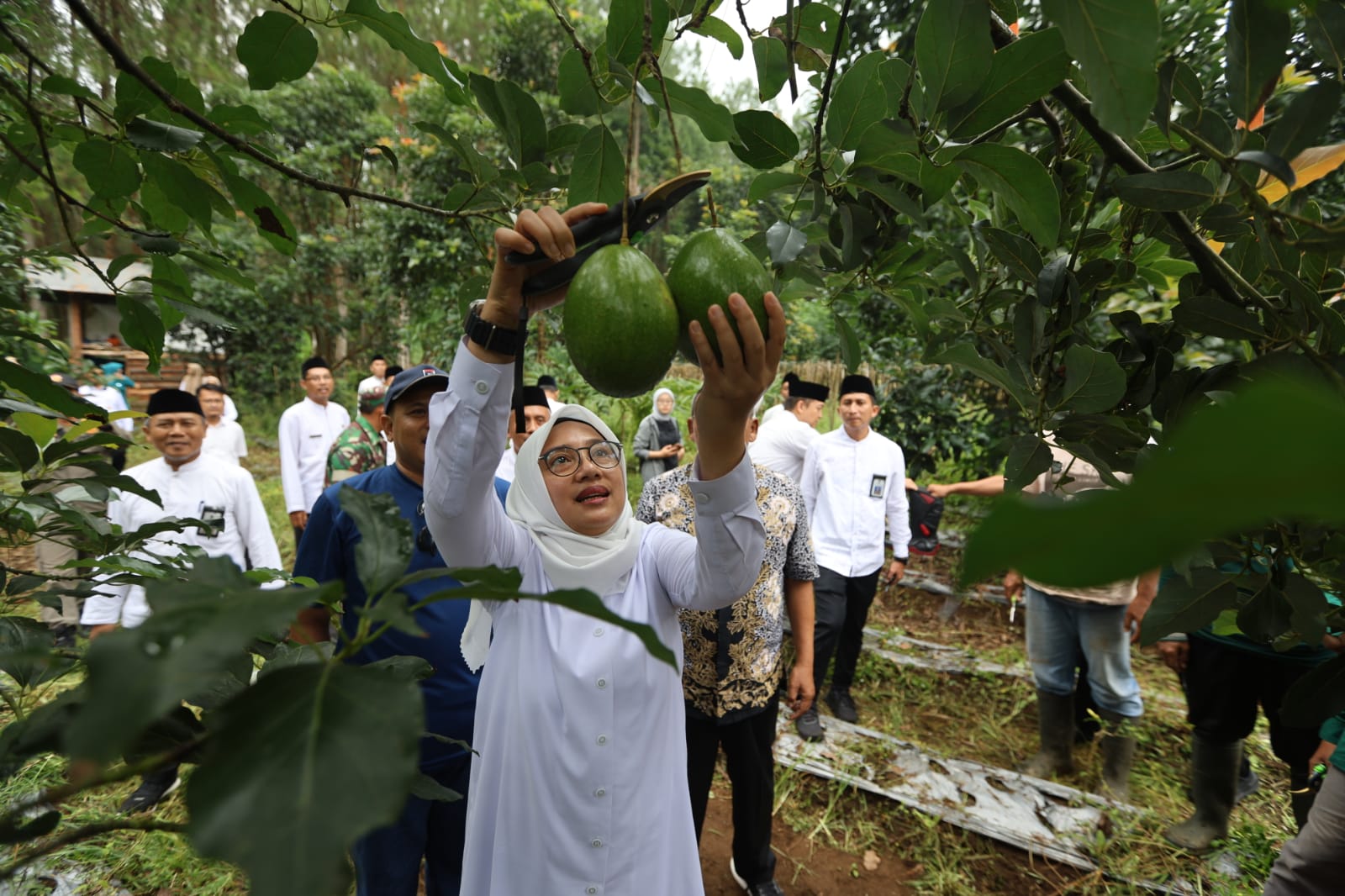 ngantor-di-desa-bumiharjo,-bupati-ipuk-gali-berbagai-potensi-pertanian