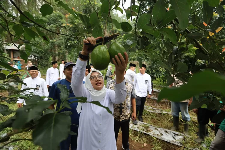 ngantor-di-desa-bumiharjo-banyuwangi,-bupati-ipuk-gali-potensi-pertanian-–-radar-banyuwangi