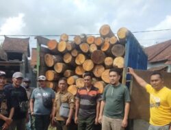 Ratusan Gelondong Kayu Rimba Mahoni Diduga Ilegal Ditemukan di Pesanggaran