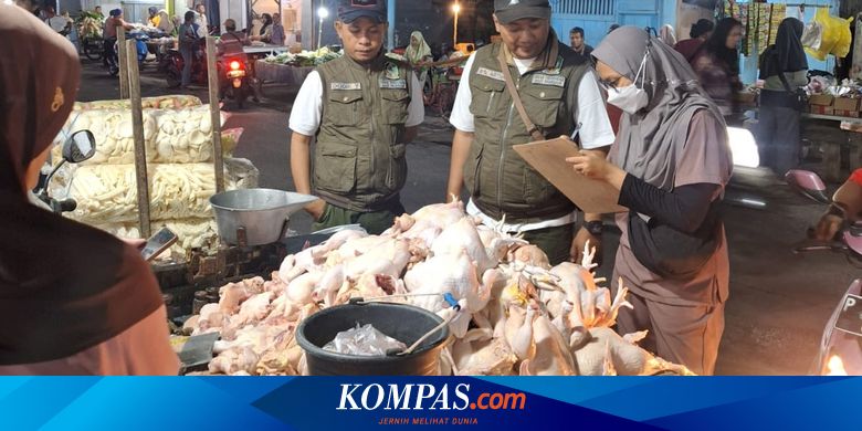 pemkab-banyuwangi-sidak-pasar-dan-rph-pastikan-daging-aman-dikonsumsi