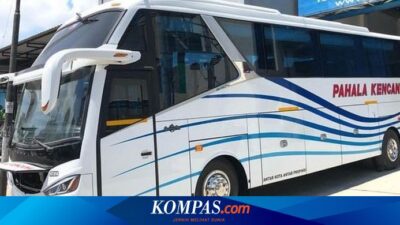 rute-dan-tarif-bus-pahala-kencana-executive-jakarta-banyuwangi