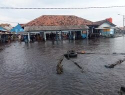 Banjir Rob Terjang Kawasan Pesisir Muncar Banyuwangi, Ini Imbas yang Ditimbulkan