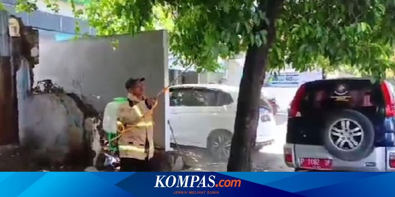 warga-banyuwangi-diserang-ulat-bulu,-muncul-efek-gatal-dan-iritasi-di-kulit