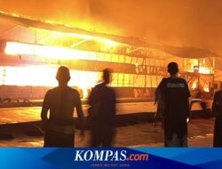 Kandang Ayam di Banyuwangi Terbakar, 28.000 Ekor Mati Terpanggang