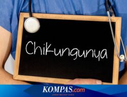 20 Banyuwangi Resident Positive for Chikungunya, 40 Suspects