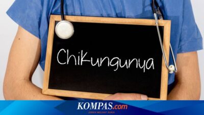 20-warga-banyuwangi-positif-chikungunya,-40-orang-suspek