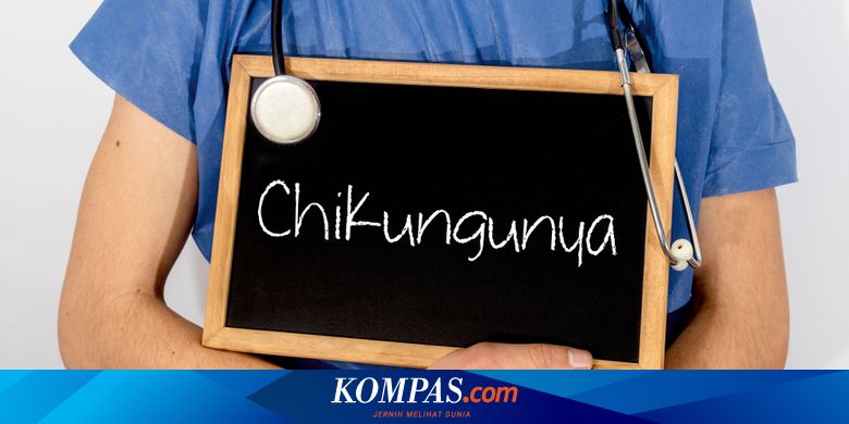 20-warga-banyuwangi-positif-chikungunya,-40-orang-suspek