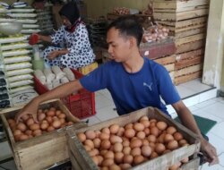 Pasca Lebaran, Harga Telur di Banyuwangi Bertahan Rp 25 Ribu per Kg