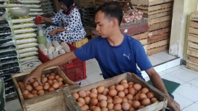 pasca-lebaran,-harga-telur-di-banyuwangi-bertahan-rp-25-ribu-per-kg