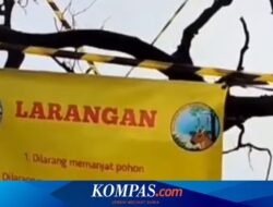 Makan Korban WNA, Spot Foto di Kawah Ijen Banyuwangi Akhirnya Ditutup