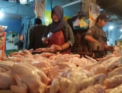 Kabar Baik Buk! Belanja Bisa Lebih Hemat, Harga Daging Ayam di Pasar Genteng, Banyuwangi Turun Rp 34 Ribu per Kg