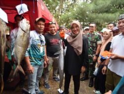 Ratusan Pemancing Seantero Indonesia Serbu Perairan Banyuwangi