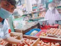 Harga Pakan Stabil, Telur Ayam di Pasar Genteng Banyuwangi Ajeg di Level Rp 28 Ribu per Kg