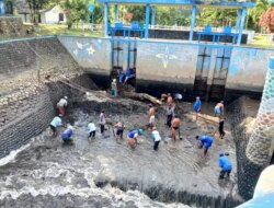 Sedimentasi Dam Gembleng Desa Aliyan Banyuwangi Dibersihkan: Ini Manfaatnya Bagi Petani