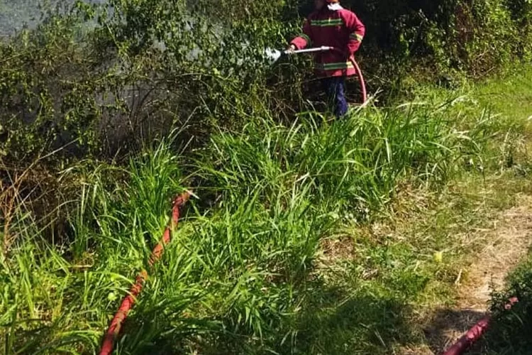 lahan-kosong-di-belakang-bpr-nusamba-genteng-banyuwangi-terbakar:-sempat-bikin-warga-geger