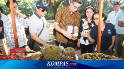 17-international-delegation-visit-banyuwangi,-this-is-what-they-said