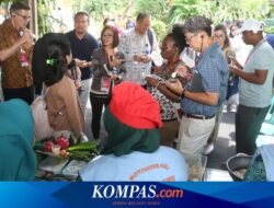 Tinjau Program Keluarga Berkualitas, 17 Delegation from 12 Negara Kunjungi Kampung KB di Banyuwangi