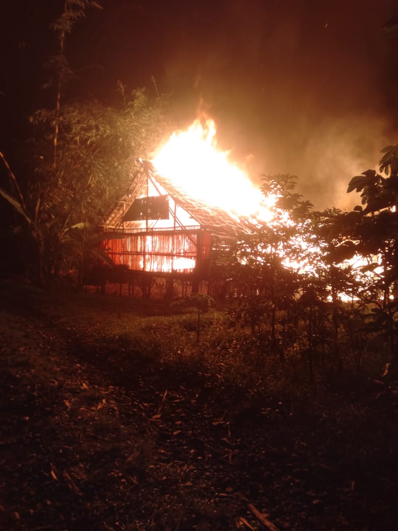 dilahap-si-jago-merah,-7100-ekor-ayam-di-kandang-hangus-tak-tersisa