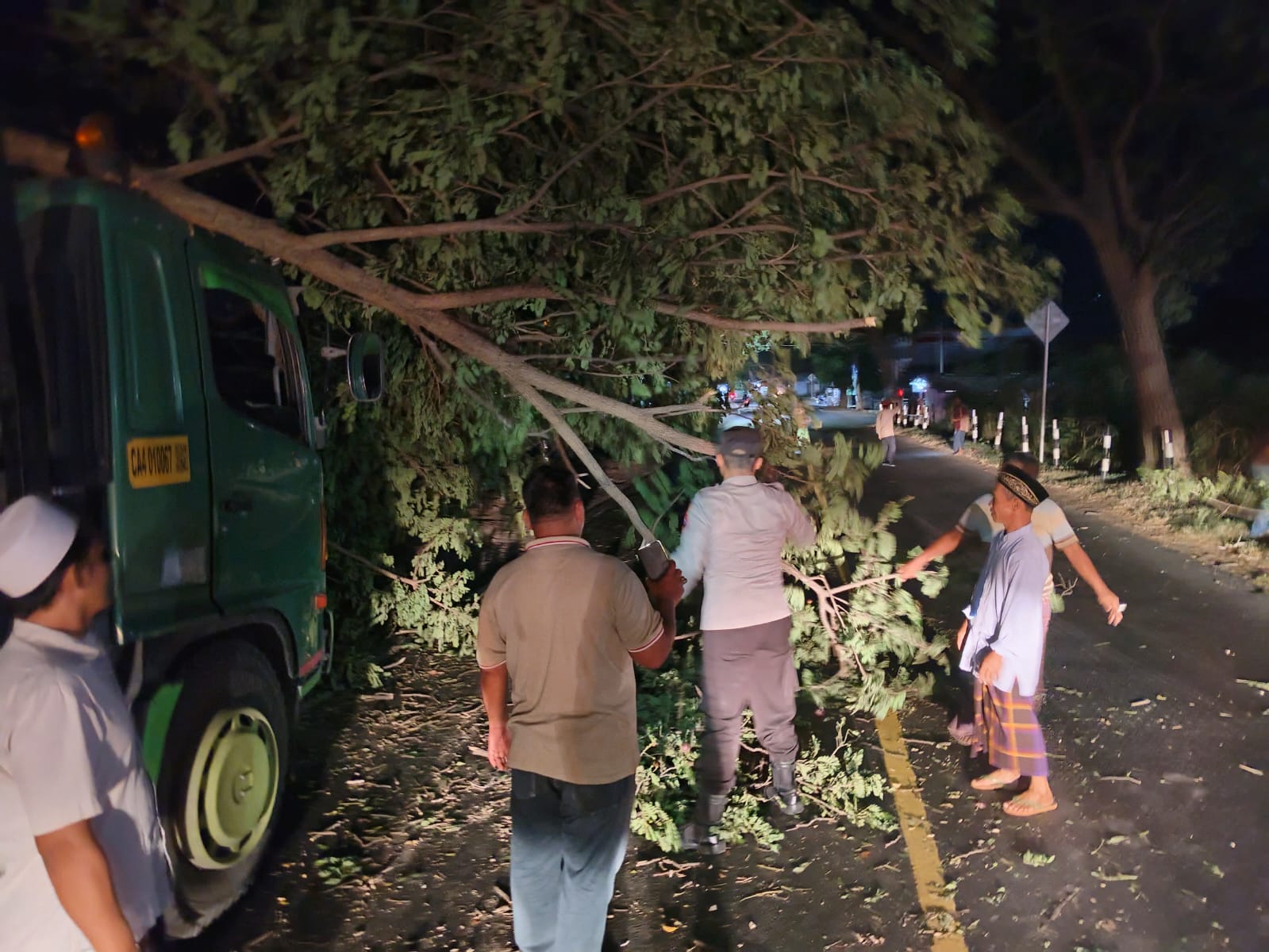 pohon-tumbang-timpa-kontainer-akibat-angin-kencang,-jalan-macet-total