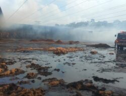 Amukan Api Luluh Lantakkan 70 Ton Sabut Kelapa Gudang Seluas 2 Hektar Di Desa Mangir