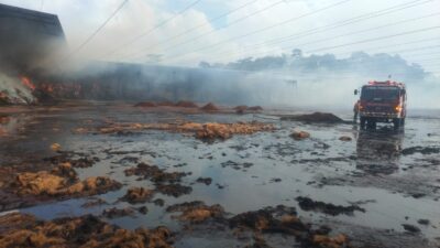 amukan-api-luluh-lantakkan-70-ton-sabut-kelapa-gudang-seluas-2-hektar-di-desa-mangir