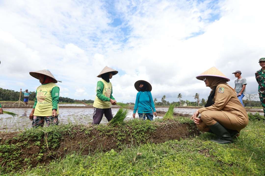 petani-di-banyuwangi-sukses-terapkan-konsep-pertanian-terintegrasi