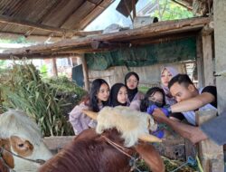 Pemkab Banyuwangi Mulai Cek Kesehatan Hewan Kurban Jelang Idul Adha