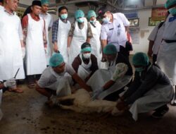 Jelang Idul Adha, Banyuwangi Siapkan Ratusan Juru Sembelih Halal Hewan Kurban