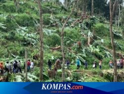 Konflik Agraria Warisan Orde Baru di Balik Penangkapan Petani Desa Pakel di Banyuwangi