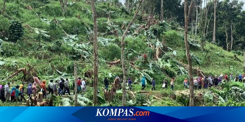 konflik-agraria-warisan-orde-baru-di-balik-penangkapan-petani-desa-pakel-di-banyuwangi