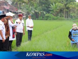 Dikirim ke Seluruh Indonesia, Beras Organik Banyuwangi Kini Ada di 18.000 Supermarket