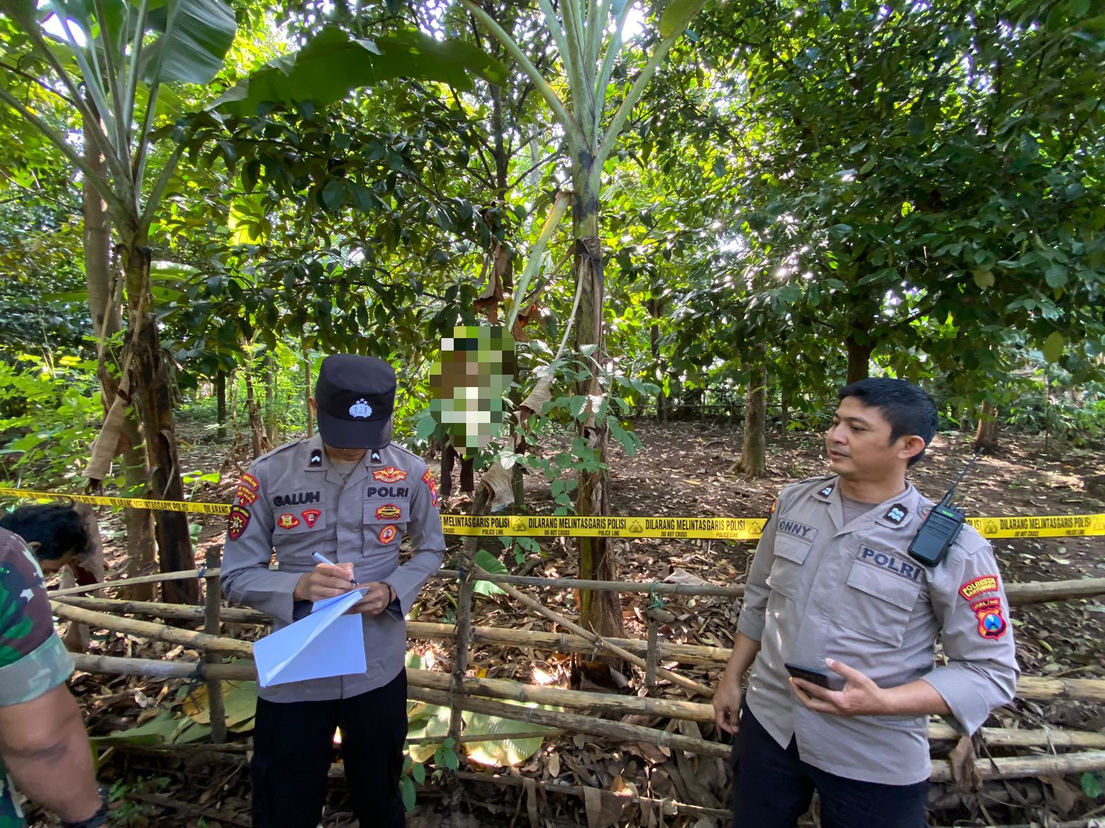 seorang-pria-ditemukan-tewas-gantung-diri-di-perkebunan-jambean,-banyuwangi