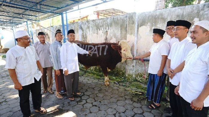 pemkab-banyuwangi-salurkan-60-hewan-kurban,-bupati-ipuk:-semoga-berkah-–-tribunjatim.com