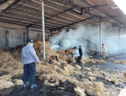 Kebakaran Hebat Melanda Gudang Sabut Kelapa PT. Naga Baru di Banyuwangi