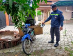 Polisi Tangkap Pelaku Pencurian Buah Naga di Tegaldlimo