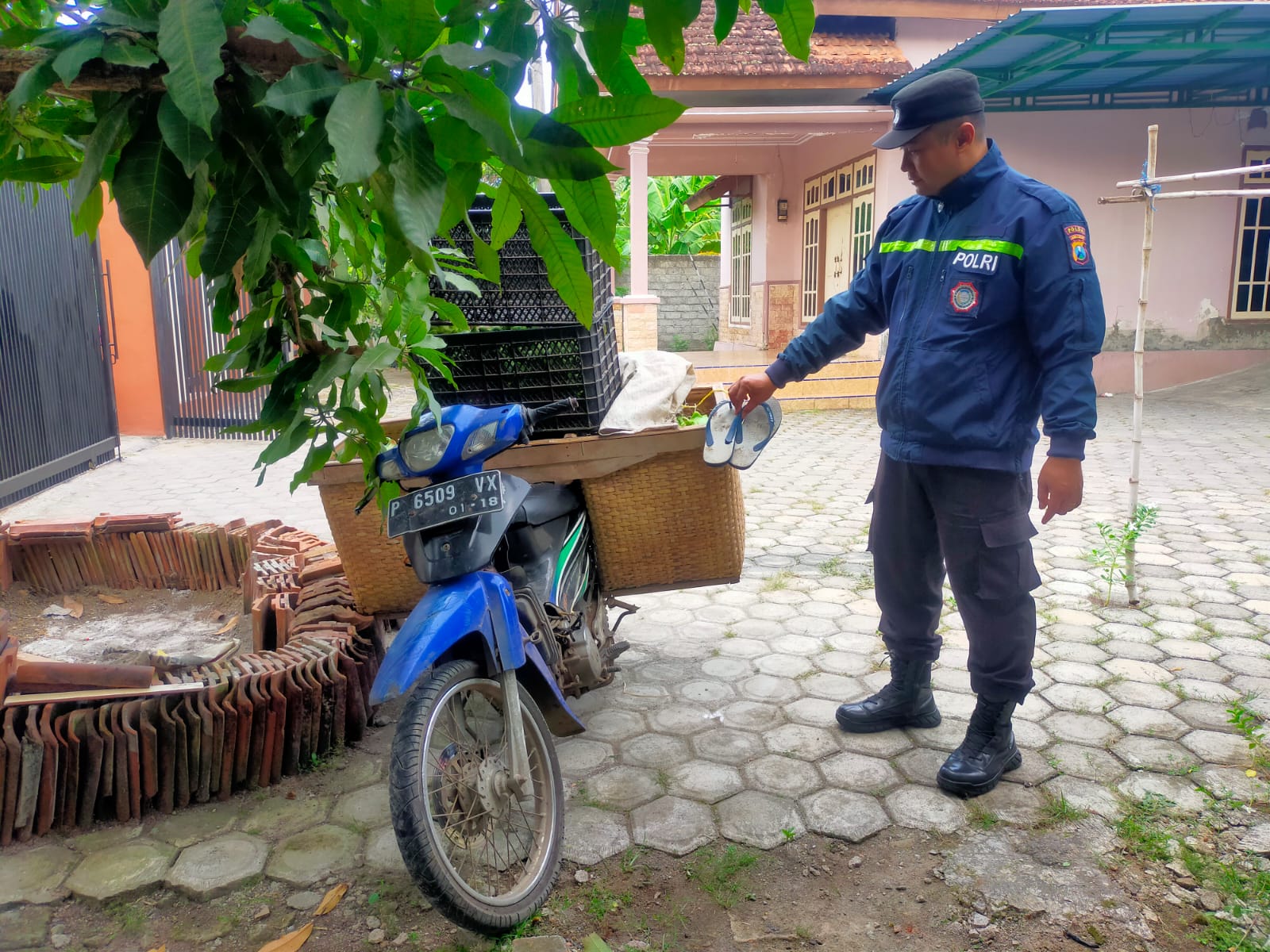 polisi-tangkap-pelaku-pencurian-buah-naga-di-tegaldlimo