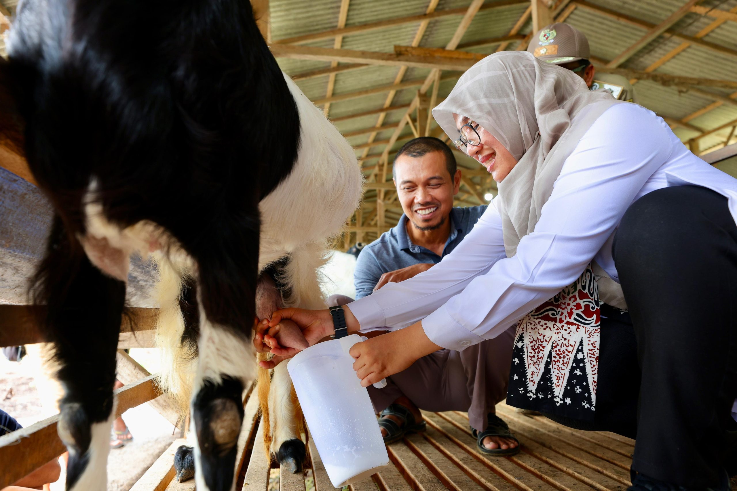 mantan-tki-banyuwangi,-kini-sukses-dengan-usaha-susu-kambing-perah