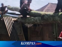 Hujan Deras dan Angin Kencang di Banyuwangi, Satu Rumah Rusak Tertimpa Pohon