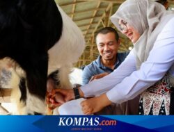 Cerita Sukses Mantan TKI Asal Banyuwangi yang Kini Usaha Susu Kambing Perah