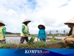 Bupati Banyuwangi Dorong Petani Pakai Pupuk Organik