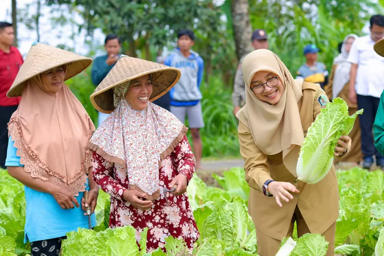 survei-lsi-denny-ja,-elektabilitas-ipuk-dominan,-tembus-59-persen-di-pilkada-banyuwangi