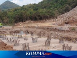 Waskita Optimistis Proyek Tol Probowangi Paket 3 Rampung Akhir 2024
