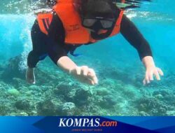 Bangsring Underwater Banyuwangi:Harga Tiket dan Jam Buka 2024
