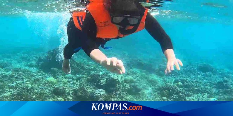 bangsring-underwater-banyuwangi:harga-tiket-dan-jam-buka-2024