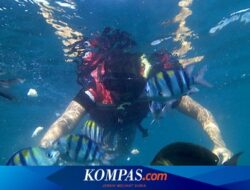 Rute Menuju Bangsring Underwater Banyuwangi, Hemat Pakai Kereta Api