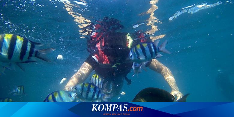 rute-menuju-bangsring-underwater-banyuwangi,-hemat-pakai-kereta-api