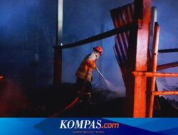 Kandang Berisi 12.000 Ekor Ayam Milik Kades di Banyuwangi Terbakar, Kerugian Rp 920 Juta