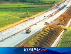 Selesai Akhir 2024, Ini Progres Tol Probowangi Ruas Gending-Besuki