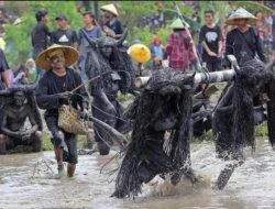 Kebo-keboan AlasmalangRitual menjaga warisan dan identitas masyarakat Osing